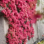 Magia Hotel Positano