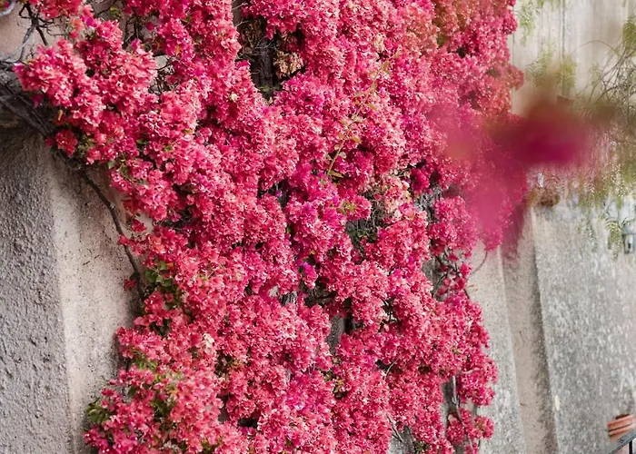 Magia Отель Позитано